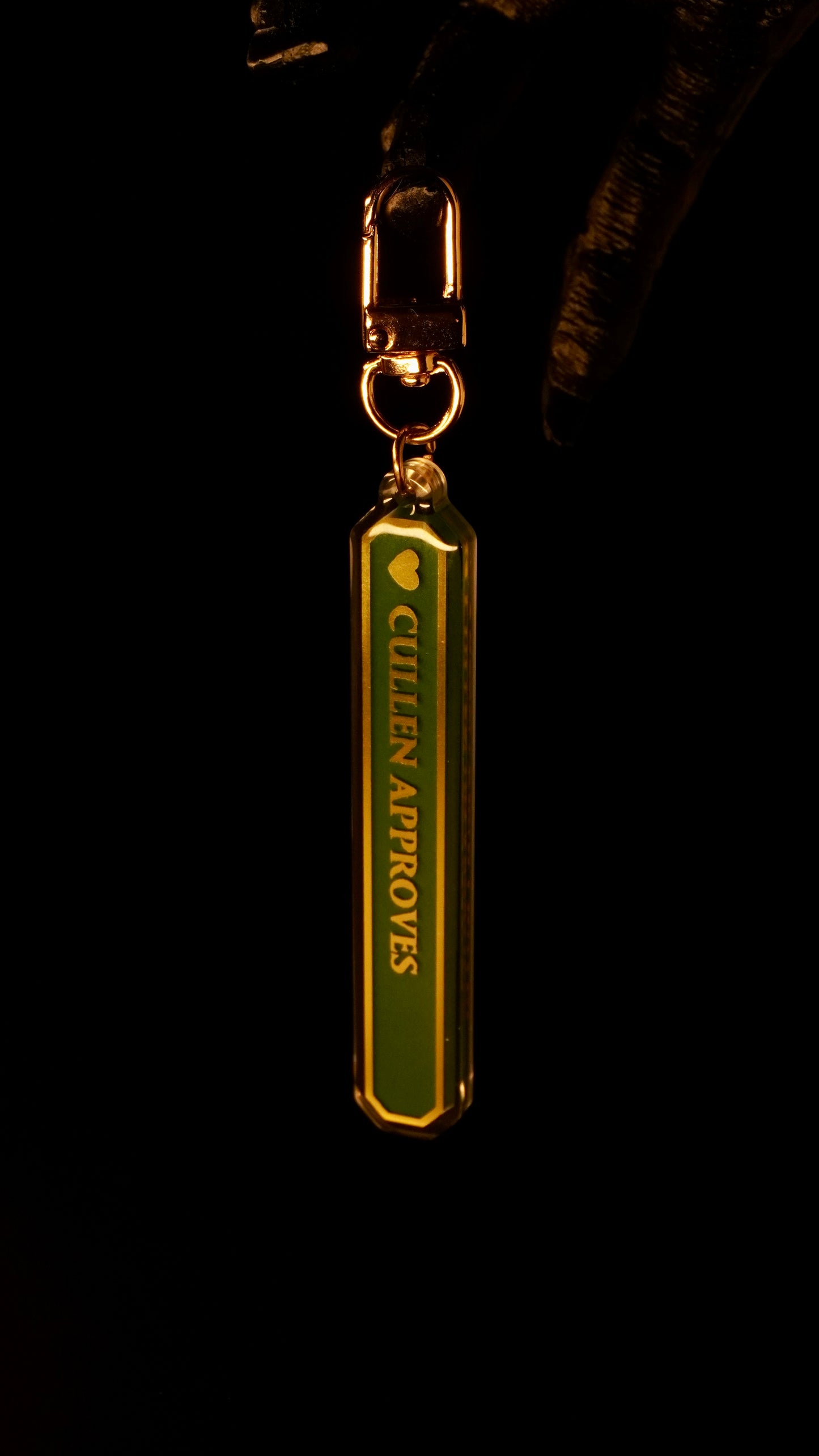 Approves & Disapproves - Acrylic Keychain