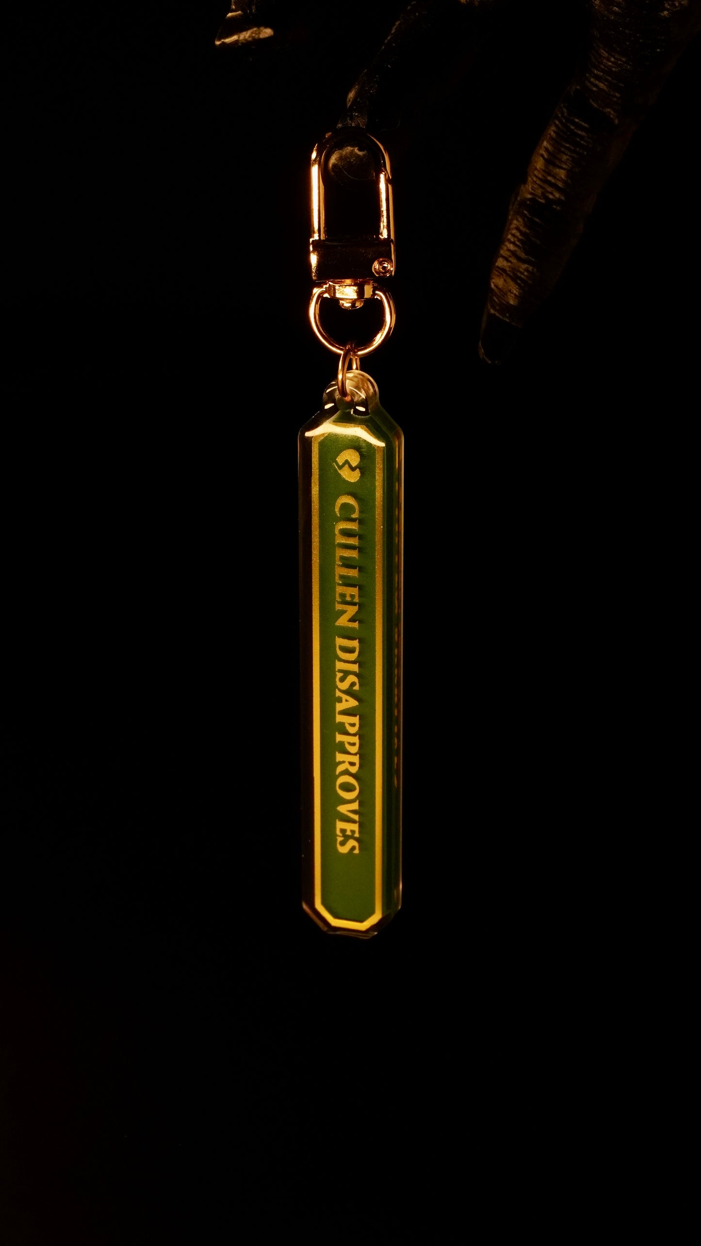 Approves & Disapproves - Acrylic Keychain