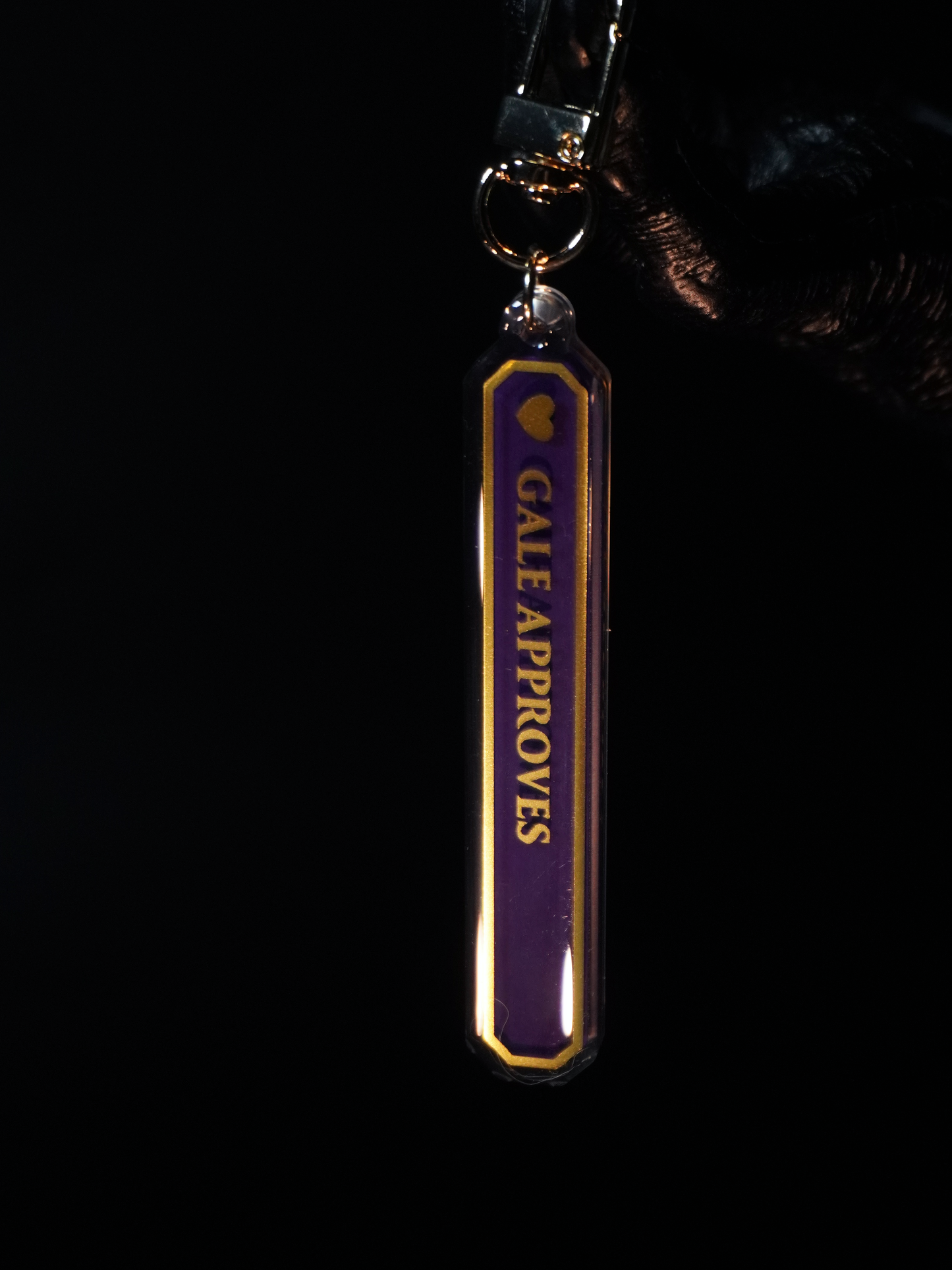 Baldur's Gate 3 - Acrylic Keychain "Approves"