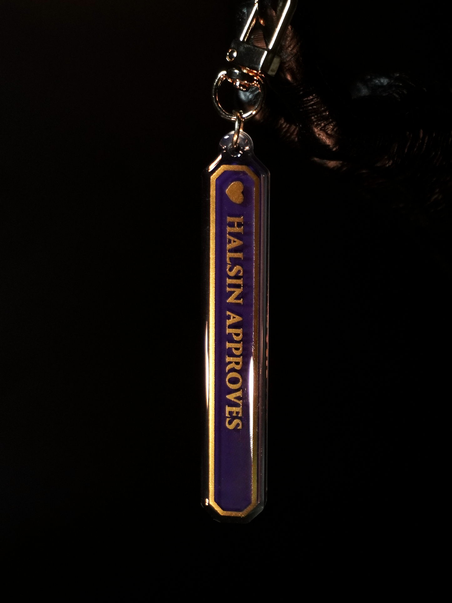Baldur's Gate 3 - Acrylic Keychain "Approves"